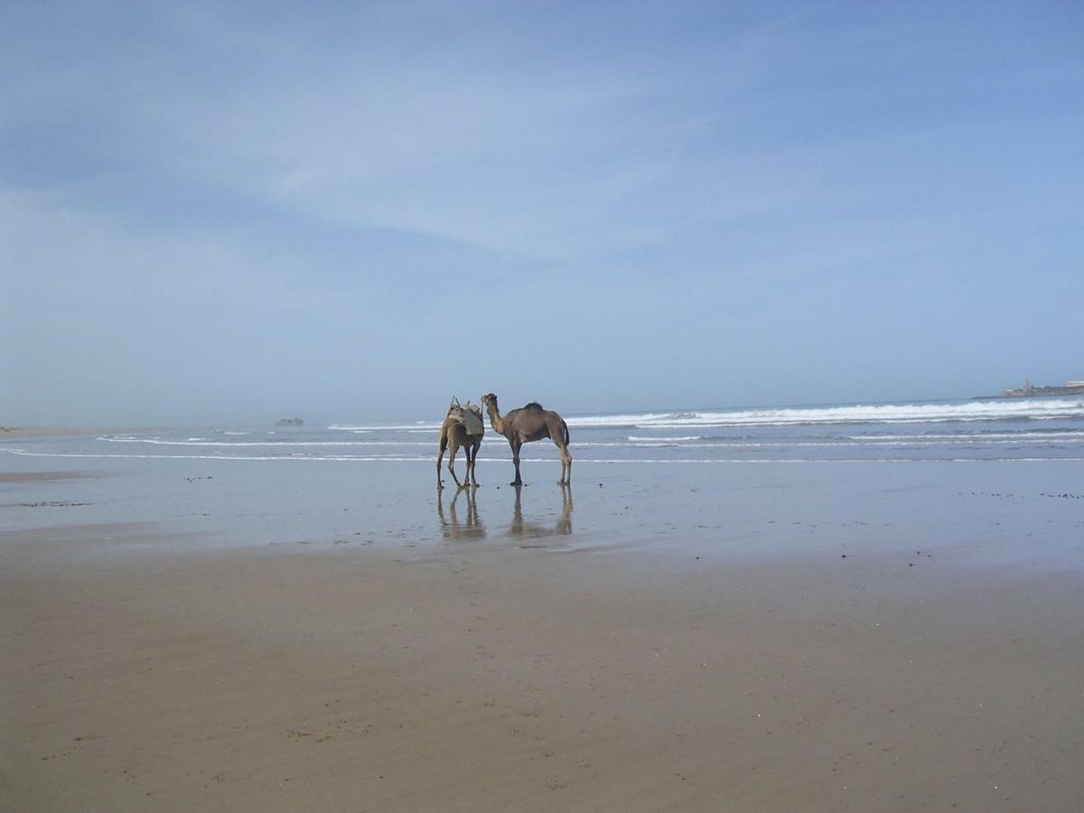 Stunning Loft With Pools Near The Beach Essaouira Ngoại thất bức ảnh